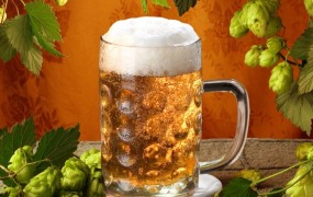 Žejni navijači izsušili ruske zaloge piva