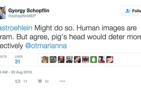 Evropski poslanec svetuje: Za odvrnitev migrantov na ograje nataknite svinjske glave!