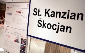 Z migranti manjši delež Slovencev na Koroškem