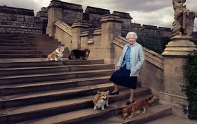 Uspavali najljubšo psičko britanske kraljice