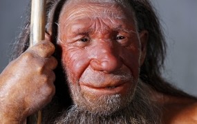 Znanstveniki: Velik in štrleč nos je neandertalcu omogočal lažje preživetje v mrazu