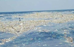 V tajskem morju plava 300 ton težka gmota smeti
