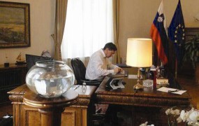 Poglejte, kaj se dogaja z zlatimi ribicami v Pahorjevem kabinetu