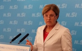 NSi z gospodarskim programom 2.0 za razvojni preboj Slovenije