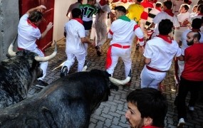 Poltonski biki v Pamploni biki na roge nabodli tri tekače - in to je šele začetek