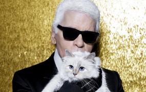 Mačka pokojnega Karla Lagerfelda naj bi podedovala milijone