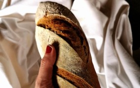 Dobrodelna akcija: S kruhom do kruha