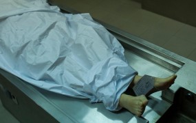 Ob meji z Italijo pri Novi Gorici našli moško truplo