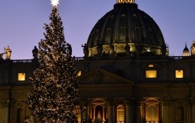75-letna kočevska smreka bo krasila božični Vatikan