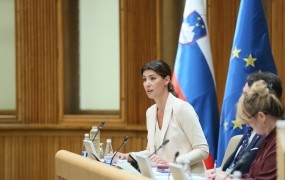 Slovenija v kazensko zakonodajo uvaja "zločin iz sovraštva"?