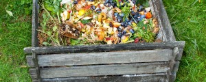 Kaj poleg odpadkov hrane še spada na kompost?