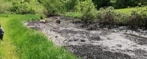 FOTO: Ovadeni zaradi blata: odgovorni za poslabšanje kakovosti zraka, vode in zemlje