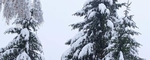 FOTO: Ponekod na Gorenjskem do 10 centimetrov snega, napovedana je že nova snežna epizoda