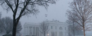 FOTO: Sneg zajel Washington, zaprte šole, odpovedani leti