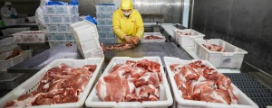 Zakaj Nemci svojim olimpijcem odsvetujejo uživanje mesa na Kitajskem?