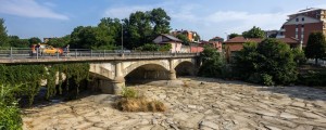 FOTO: V Italiji pritiska strašanska suša, zaradi vročine in pomanjkanja še krave dajejo manj mleka