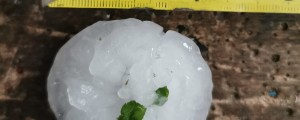 VIDEO in FOTO: V Dravski dolini so se z neba vsuli ledeni izstrelki, pri Rogatcu kot jajce debela toča
