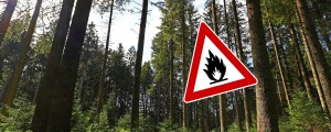 Razglašena velika požarna ogroženost okolja za celotno državo