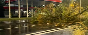 FOTO: Končno nevihta nad Ljubljano! Sunek vetra podrl drevo na Dunajsko cesto