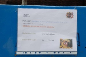 FOTO: Kostanj spet na Glavnem trgu