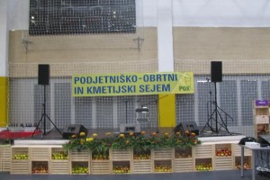 FOTO: 110 razstavljalcev v Brežicah