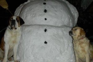 FOTO: Dolenjski snežaki