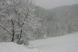 Še ena snežna pošiljka