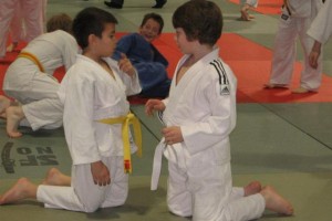 V&#38;F: Mladi novomeški judoisti uspešni