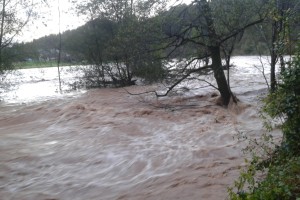 Reke bodo naraščale in poplavljale; dež še do srede