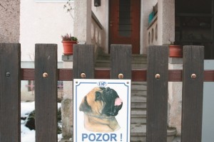 Tožilka se je pritožila na oprostilno sodbo policistoma v zadevi bulmastifi