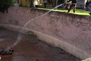 Drznega obiskovalca živalskega vrta v Barceloni hudo ranili levi
