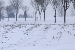 Na Madžarskem več kot 250 smrtnih žrtev mraza