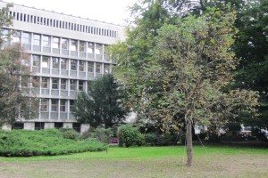 Osamosvojitvena lipa prestavljena, spomenika komunizmu ostajata 