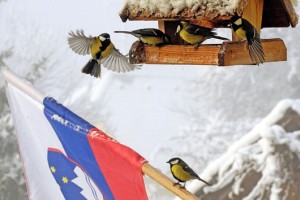 Janša: Sneženi možje, ki so nam čez zimo izropali vse zaloge, se začenjajo topiti