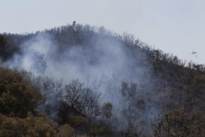 Vročina in požari na Balkanu še vsaj do naslednjega tedna