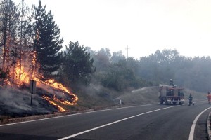 Kar 500 gasilcev v boju s požarom na Črnem Kalu