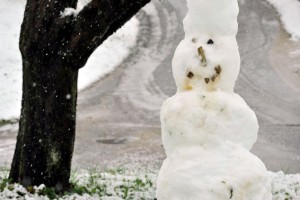 Slovenijo pobelil prvi sneg