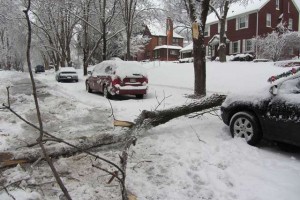 Po zimskih neurjih v ZDA več sto tisoč ljudi brez elektrike