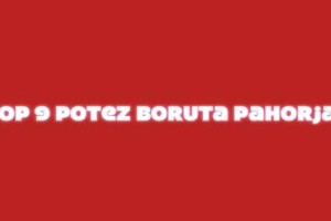 Youtube: Top 9 potez ex-premiera Boruta Pahorja