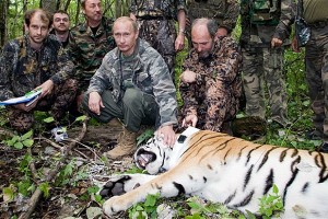 "Putinov" tiger je osumljen napada na kokošnjak