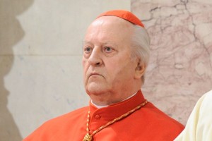 Kardinal Rode čaka na analizo DNK v Nemčiji