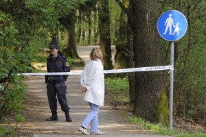 Ne vandali, žled je kriv za razdejanje obeležja vojne za Slovenijo