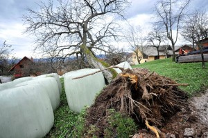 Na vzhodu Slovenije in v višinah bo pihal močan veter