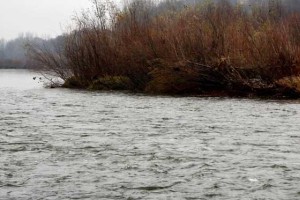 Naše sosede zaliva: na avstrijskem Koroškem zaradi narasle Drave ustavili promet skozi dravsko dolino