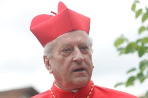 Rode: Diktatura lahko shaja brez vrednot, demokracija ne