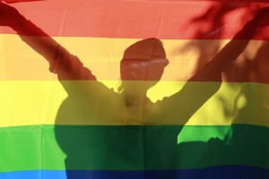 Ameriški skavti po novem letu odprti do odkrito homoseksualne mladine