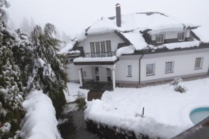 Zdravstveni eldorado: Vila iz pravljice dobavitelja Marjana Dermastija