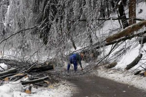 »Na Rožniku še vedno padajo drevesa, ljudje pa se po njem sprehajajo z otroki.«