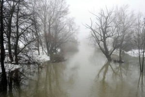 Sneg trenutno zavira poplave