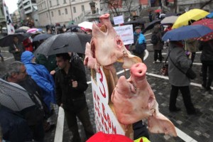 Svinje na Prešernovem trgu: V prestolnici shod soočenja s korupcijo 
